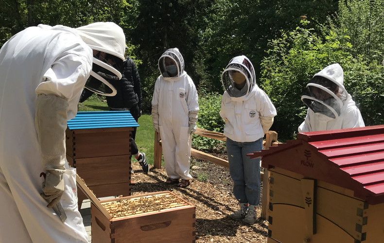 Our student-run beehive/apiary garden is the best way to commune with nature and learn about pollinator ecology.